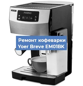 Замена дренажного клапана на кофемашине Yoer Breve EM01BK в Краснодаре